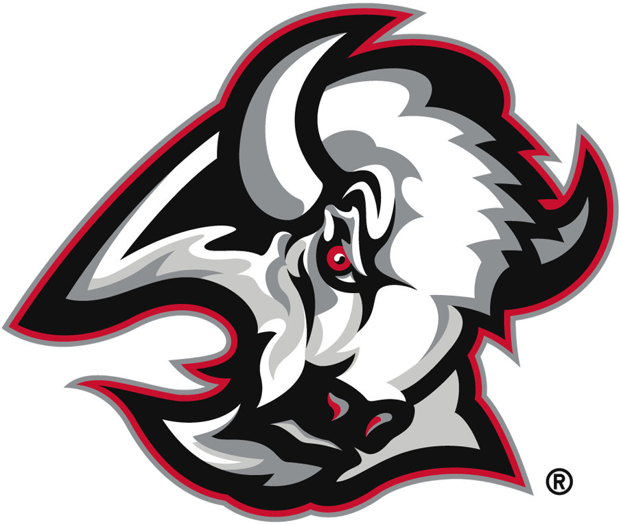 Buffalo Sabres 1999-2006 Primary Logo fabric transfer